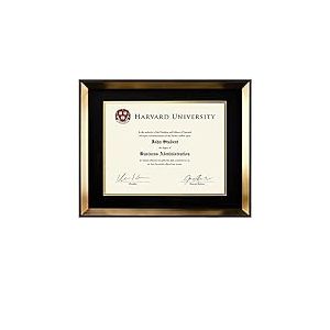EXCELLO GLOBAL PRODUCTS Cadre photo moderne pour documents : 21,6 x 27,9 cm avec double passe-partout pour diplômes, diplômes, certificats, cadre mural (doré)
