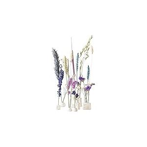 BloomPost Bloom & Clay Blue - Bleu - Fleures séchées avec Argile blanche - Cadeau Unique livré par Boîte aux Lettre - L133
