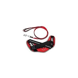IDC Powair Bundle - Harnais IDC Powair, Taille: M/0, Rouge + Laisse IDC Powair, Taille: 1,2 m avec poignée et Grand Mousqueton, Rouge