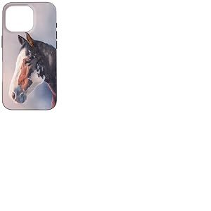 Cheval Équitation Cavalier Cheval Filles Appaloosa Coque pour iPhone 16 Pro