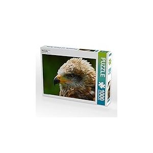 CALVENDO Puzzle Aigle Royal 1000 Pieces 64 x 48 cm from Dagmar Kolatschke