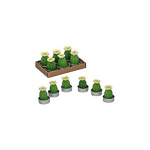 Vacchetti Lot de 6 bougies Cactus avec fleur blanche