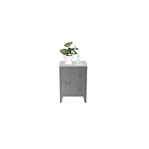 FURNITURE-R France Meuble Bas casier Metal indus Vintage, Bout de canapé, Mini bibliothèque Cabinet, Dimensions 40.5 x 30,5 x 57,5 cm,Gris