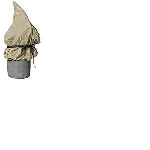 Bâche Voile Non tissée Windhager, Beige, 2 x 5 m, 30g/m²