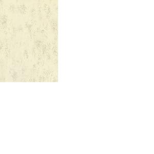 Brunnen Papier multi-usages universel 160 g/m² Chamois marbré A4