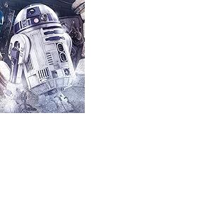 Star Wars WDC100183 Toile Imprim&eacute;e, Multicolore, 60 x 80 cm