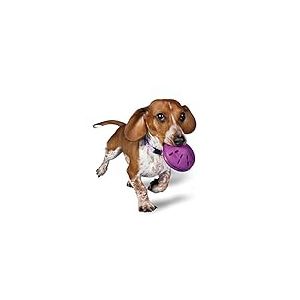 PetSafe Busy Buddy Twist 'n Treat Jouet Distributeur pour Chien Taille S