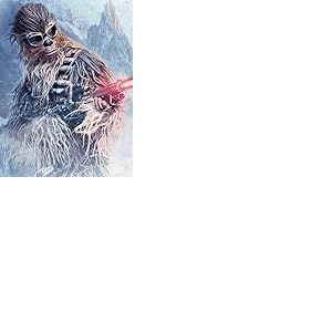 Star Wars WDC100428 Toile Imprim&eacute;e, Coton, Multicolore, 60 x 80 cm