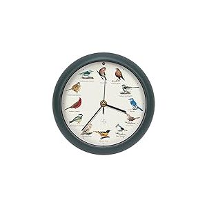 Mark Feldstein The Original Horloge Oiseau Chantant Édition 25e Anniversaire (20,3 cm, Vert)
