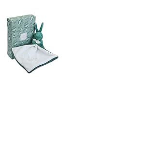 DOUDOU ET COMPAGNIE – Lapin avec Doudou Vert Sauge – Peluche Bébé Ultra Douce – Motif Fleuri – Cadeau Naissance Mixte – Lavable en Machine – Coffret Offert - DC4361