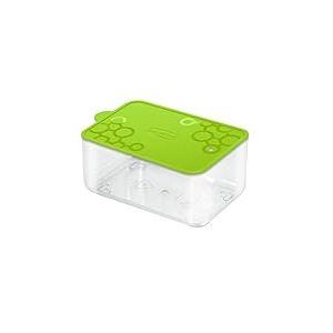Gio' Style Forme Contengo Récipient rectangulaire en polystyrène Cristal et polypropylène Vert