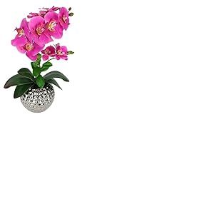 Fleur artificielle papillon orchidée avec feuilles dans un pot - 40 cm - Orchidée artificielle - Phalaenopsis comme de vraies branches d'orchidées - Plante artificielle - Décoration de mariage - Fleur