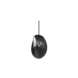 Rapoo EV200 Souris Droitier USB Type-A Optique 1600 DPI