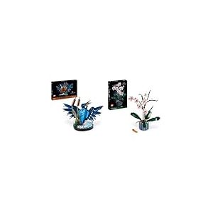 LEGO Icons Le Martin-pêcheur, Kit de Maquette pour Adultes Amoureux des Oiseaux et de l'Ornithologie & 10311 Icons L’Orchidée Plantes avec Fleurs Artificielles d'Intérieur