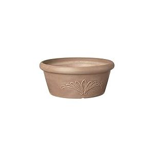 Arcadia Garden Products PSW Pot TA30TP Collection Pot de Fleurs Peu Profond pour Plantes Grasses, bonsaï, Jardins féériques, Herbes aromatiques, 30,5 cm, Taupe