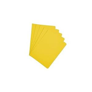Raylu Paper - Lot de 25 Sous Chemises Cartonnées pour Documents, avec Fentes pour Ajouter des Attaches, Sous Dossiers en Papier Cartonné Épais de 200 g, Couleurs Vives (Jaune, Folio)