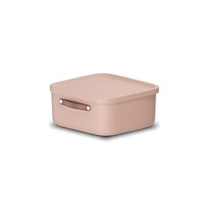 Rotho Maloja Boîte de rangement 20 l, Plastique (PP recyclé), 20 (39.5 x 38.0 x 17.7 cm), Rose