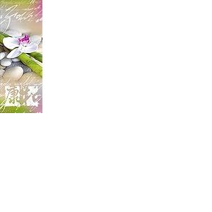 Pro Art Image sur Verre Orchidee - 30 x 80 cm