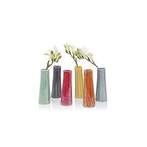 Chive Petit Vase à Fleurs « Galaxy » — Joli Vase en Verre pour Fleurs et Plantes d'intérieur — Lot de 6 Couleurs Assorties — Mélange Orange