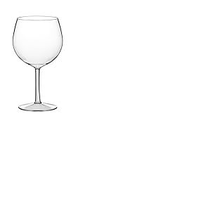 Bewitched Lot de 9 verres &agrave; ballon Gintonic en plastique r&eacute;utilisable Tritan 450 cc incassables