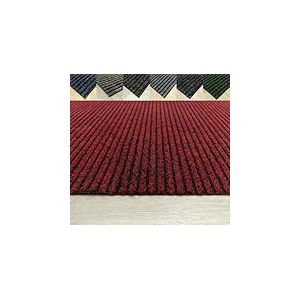 Tadi & Imperio1979 Paillasson Grand - Paillasson pour bâtiments - Nettoie Les Chaussures - Enlève la poussière - Paillasson d'entrée et de Maison - 100 x 350 cm