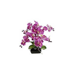 Fleur Artificielle Papillon orchid&eacute;e avec Feuilles et Racines a&eacute;riennes dans Un Bol en c&eacute;ramique Fleur Artificielle Orchid&eacute;e Phalaenopsis avec Pot Plante Artificielle D&eacute;coration de Mariage Fleur en