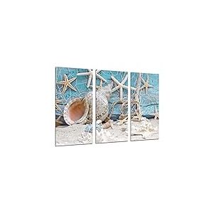 Cuadros Cámara Tableau photo paysage mer vintage coquillages escargot plage sable dimension totale 97 x 62 cm XXL