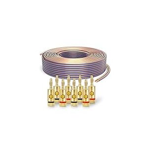 PureLink SP020-050 C&acirc;ble d'enceinte 2x4,0mm&sup2; (99,9% OFC cuivre massif 0,10 mm) C&acirc;ble de haut-parleur Hifi, 50m, transparent, Set comprenant 8 fiches bananes