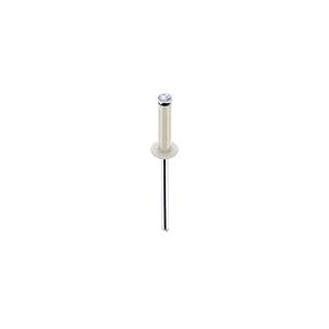 Restagraf - Rivets Épanouis Blancs pour Plaques d'Immatriculation - Diamètre 4 mm - Fixation Durable sur Carrosserie ou Support Plastique - Réf. 4925 - Boîte de 250
