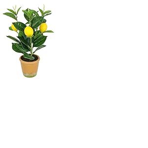 Flair Flower Mini citronnier Artificiel 30 cm - Plante Artificielle r&eacute;aliste - Arbre d'agrumes - D&eacute;coration d'arbre fruitier - Plante en Pot - Plante d'int&eacute;rieur - Toscane du sud