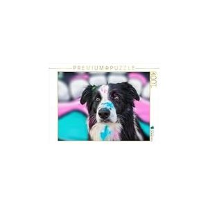 CALVENDO Puzzle Border Collie 1000 Pieces 64 x 48 cm from DoraZett