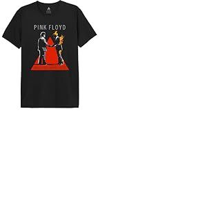 Legend Icon Officiel Pink Floyd imprim&eacute; T-Shirt pour Homme Col Ras du Cou Manches Courtes Coton Coupe r&eacute;guli&egrave;re,Wish You Were Here_Noir,M