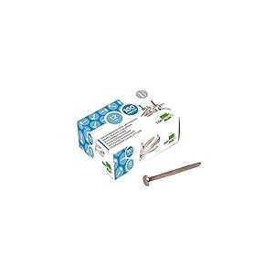 Liderpapel 02837 Attache Parisienne Acier Laitonné N.3 19mm Plastique Assorties