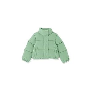 Amazon Essentials Veste matelass&eacute;e Courte &agrave; Fermeture &eacute;clair int&eacute;grale pour Petite Fille (Polaire matelass&eacute;e Mate ou Sherpa), Vert Sauge, Taille 4T