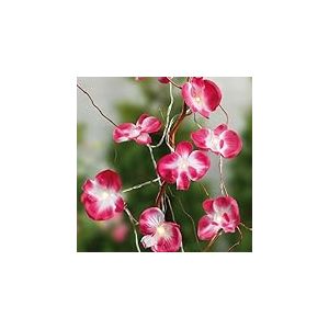 hellum 300178 Guirlande lumineuse d'intérieur avec orchidées roses - 10 LED blanc chaud - Longueur : 1,35 m - Avec piles - Décoration