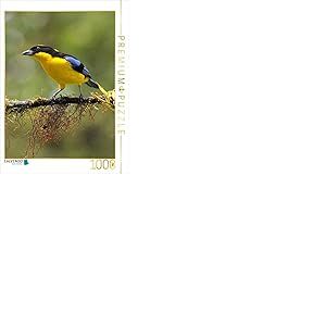 CALVENDO Puzzle Tangara &agrave; Ailes Bleues (Tangara cyanoptera) 1000 Pieces 48 x 64 cm from Armin Brockner