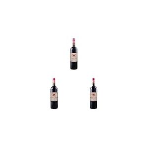 Montagne Saint Emilion Biodynamie Nature Bio 2020 Vin Rouge, 75 cl (Lot de 3)