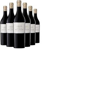 Château de Haut-Coulon - AOP Cadillac Côtes de Bordeaux - Vin Rouge - Terra Vitis - Lot de 6 bouteilles x 75cl