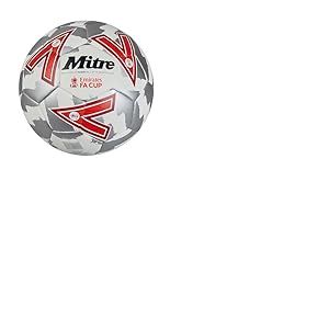 Mitre Training FA Cup Football | High Performance Training Ball | Extra Durable Design, Ball, White/Silver/Red, 4