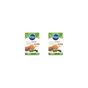 Steripan - Pastilles Gorge - Saveur Miel - Extraits de Plantes sans Sucre Ajouté - 30g (Lot de 2)