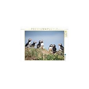 CALVENDO Puzzle Farne Islands 1000 Teile Puzzle quer 1000 Pieces 64 x 48 cm from Katja Jentschura
