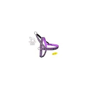Camon Harnais en n&eacute;opr&egrave;ne Dynamic Violet Taille Poitrine 45 cm pour Chiens