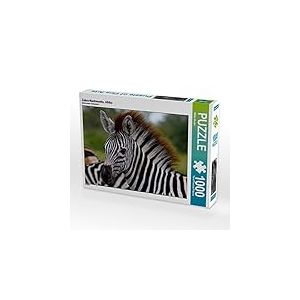 CALVENDO Wibke Woyke - Puzzle de progéniture zèbre Africain 1000 pièces - Taille de la Pose 64 x 48 cm