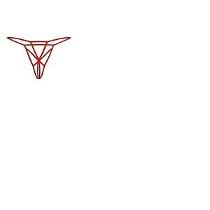 Teyli &ndash; Culotte Ouverte &agrave; l'entrejambe &ndash; String Femme Sensuel &agrave; lani&egrave;res avec Entrejambe Ouvert. Rouge S/M