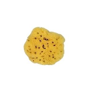 CROLL & DENECKE L080 Éponge Naturelle Levantine de la mer Méditerranée à Pores Fins pour Le Soin du Visage 8 cm