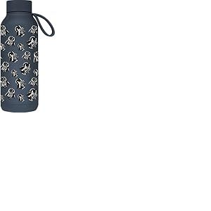 Quokka Bouteille isotherme en acier inoxydable solide avec crochet ardoise 510 ml Star Wars Dark Vador