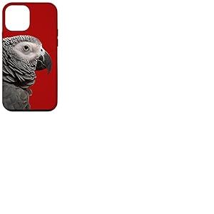 Coque pour iPhone 12 mini Image perroquet gris du Gabon