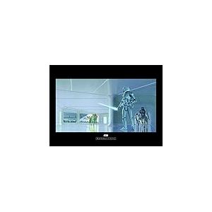 Komar Star Wars Classic RMQ Stormtrooper Hallway Tableau Mural pour Chambre d'enfant, Chambre d'enfant, d&eacute;coration, Impression Artistique, sans Cadre, color&eacute;, WB157-70x50