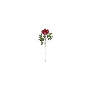 Europalms Peonia Ramo Classico, Magenta, 80 cm