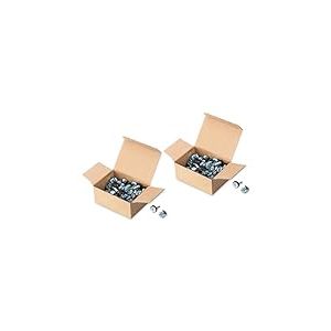 DIGITUS DN-19 SET-S - Vis M6 & écrous cage - Jeu de 100 pièces - Vis de montage pour armoire serveur, rack AV, armoire réseau 19 pouces / 10 pouces - Kit de montage - Argenté